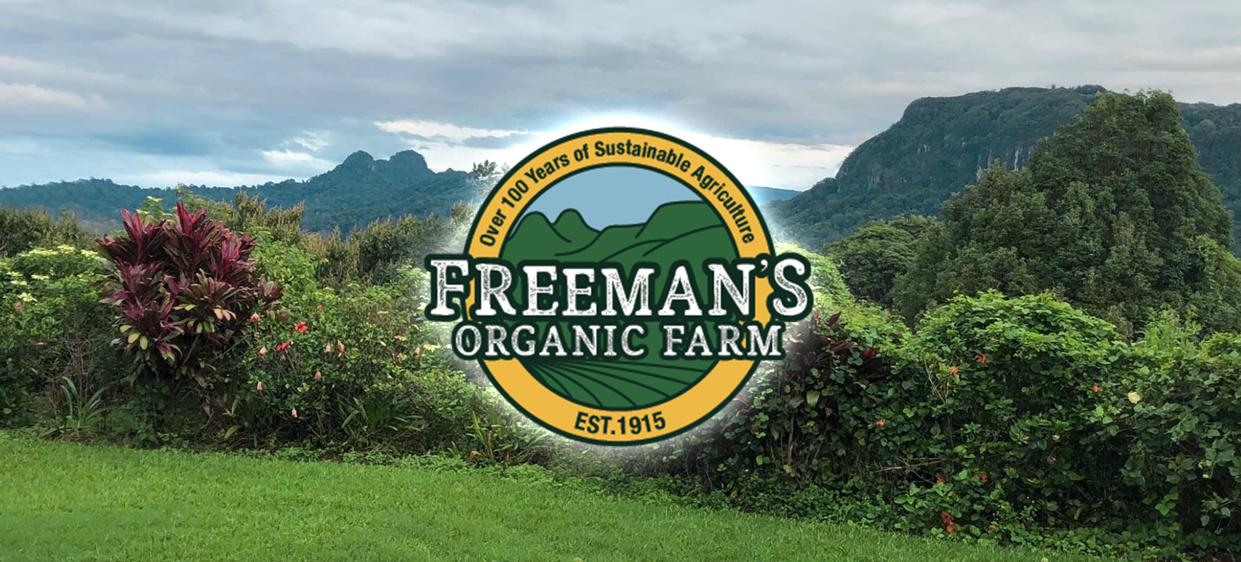 Freeman's