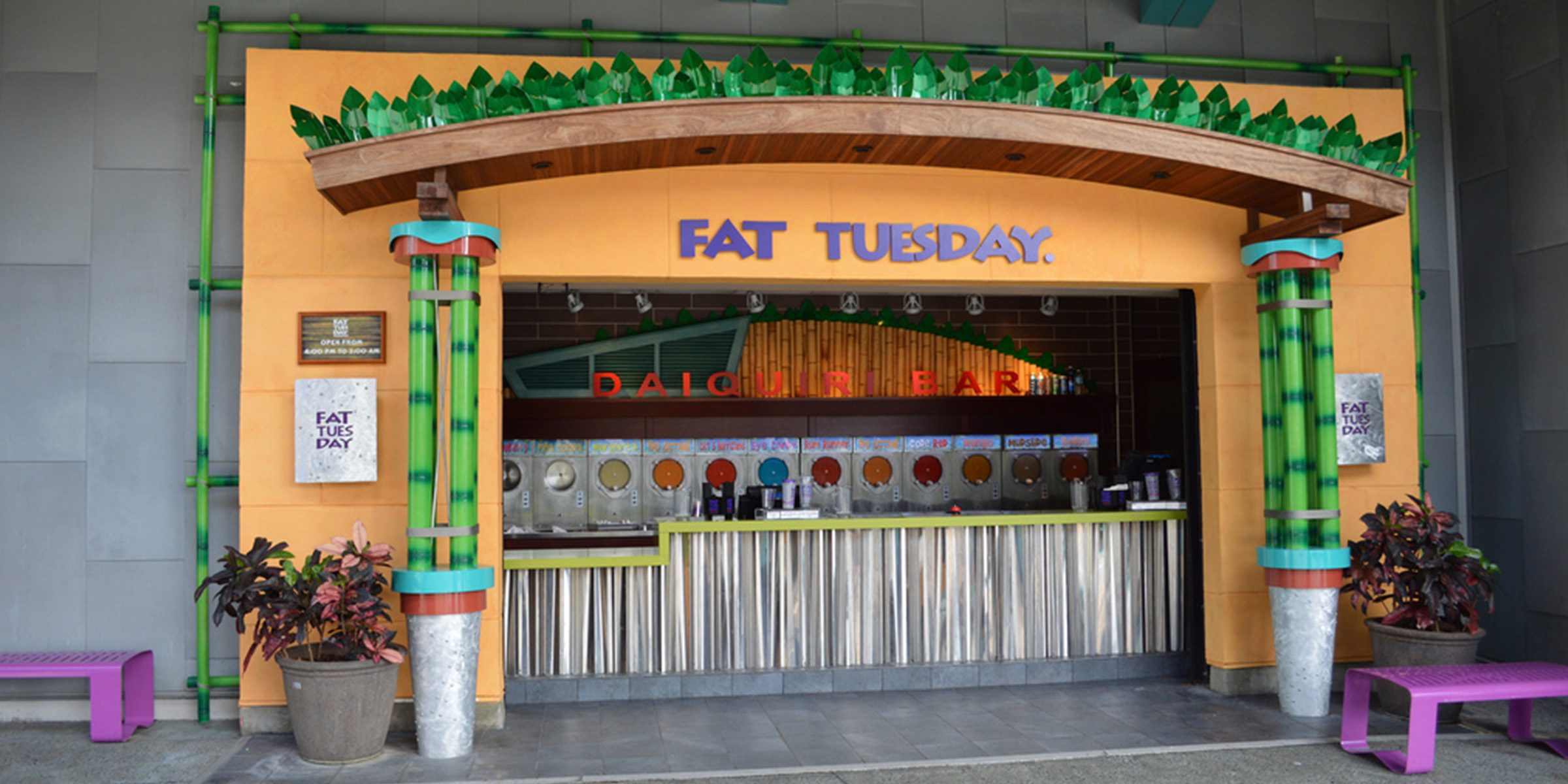 Fat Tuesdays