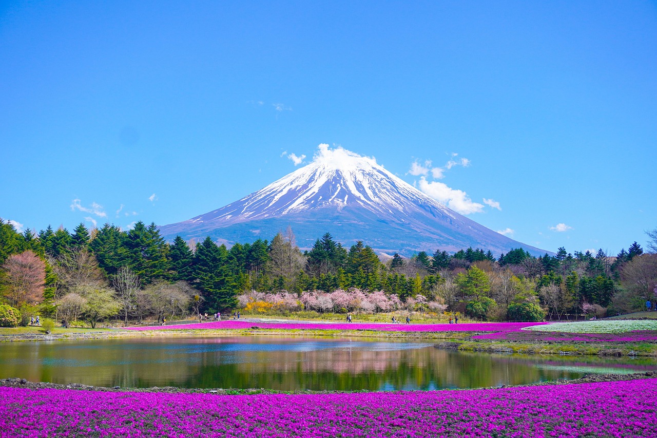 Fuji Mountain