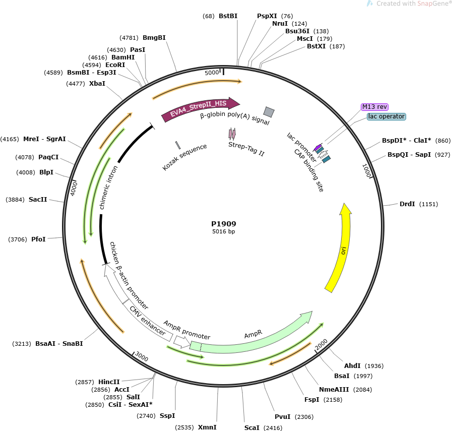 The Summit at University City
